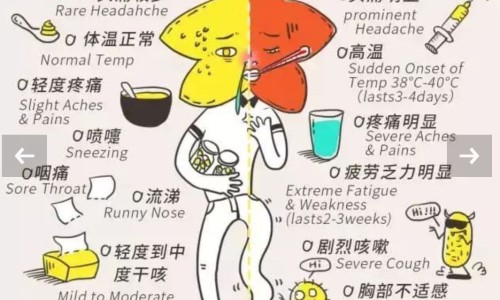 预防感冒吃什么中药-中药保健品的预防感冒网 | 中成药预防感冒,中药保健品的预防感冒药有哪些